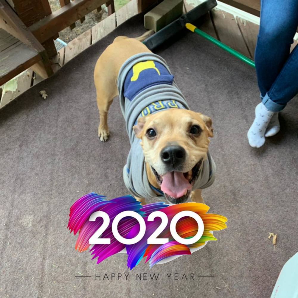 Meet your Posher, Mirela